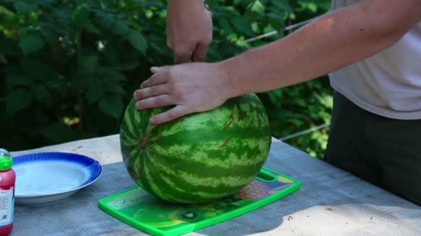 Reife Wassermelone — Stockvideo