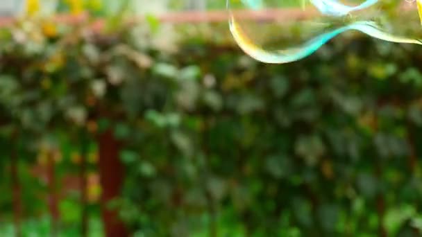Мильна бульбашка — стокове відео