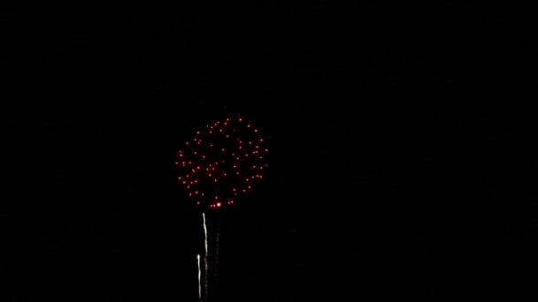 Fogos de artifício — Vídeo de Stock