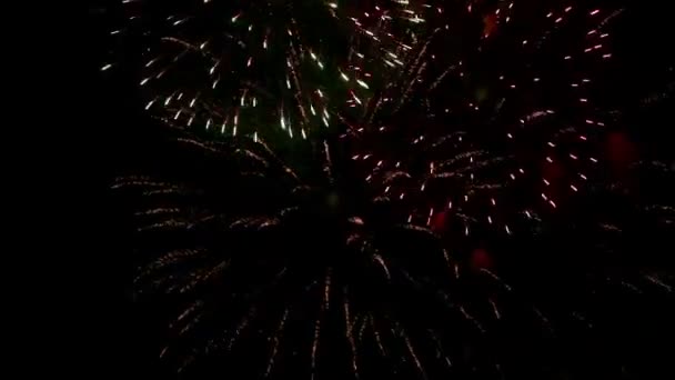 Fogos de artifício — Vídeo de Stock