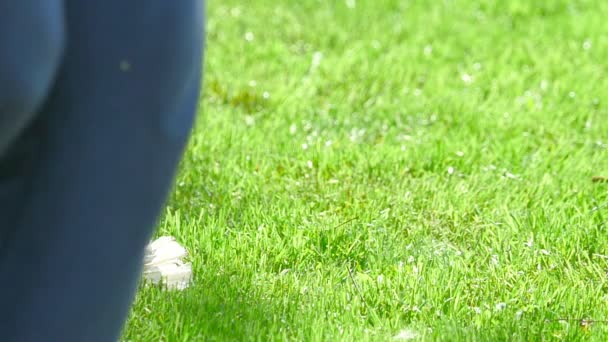 Navette sur l'herbe 