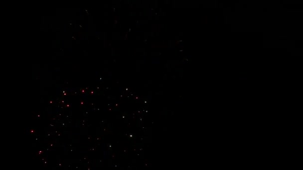 Fireworks — Stock Video