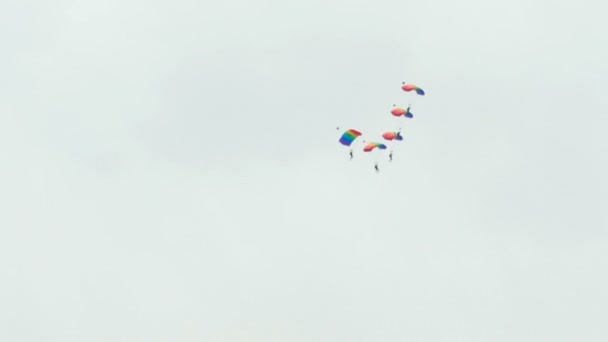 落下傘兵のアクロバット飛行 — ストック動画