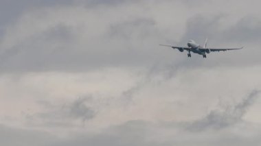 KUALA LUMPUR, MALAYSIA - 12 Ocak 2025: Malezya Havayolları Airbus A330 Kuala Lumpur Uluslararası Havalimanı 'na inmek için yaklaşıyor. Yolcu uçağı uçuyor. Seyahat ve havacılık