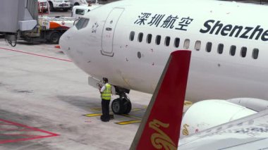 CHANGI, SINGAPORE - 30 HAZİRAN 2025: Shenzhen Havayolları Boeing 737-87LWL, B-1217, Changi havaalanı, Singapur. Seyahat konsepti. Beneklenme.