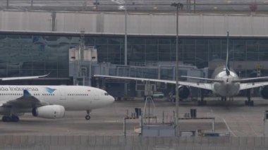 HONG KONG - 26 Ocak 2025: yan görüş, uçak Garuda Endonezya Airbus A330, PK-GPM taksisi. Seyahat kavramı