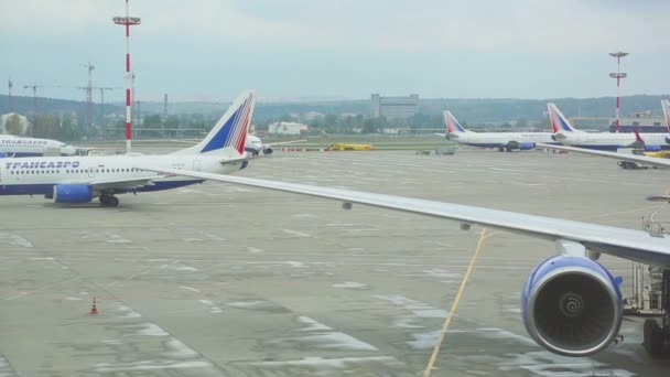 Аэропорт Внуково — стоковое видео