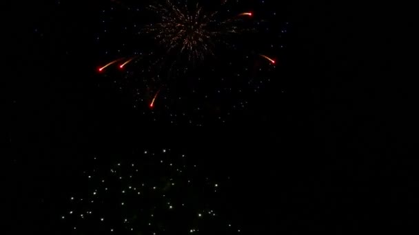 Vuurwerk in de nachtelijke hemel knippert — Stockvideo