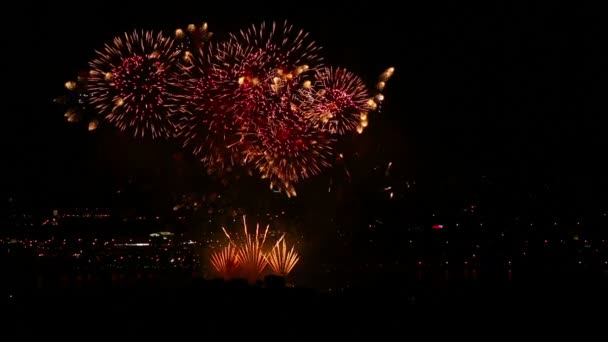 Fogos de artifício piscando no céu noturno . — Vídeo de Stock