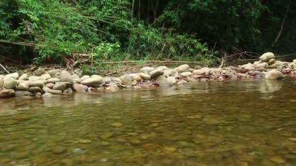 Rafting im khao lak — Stockvideo