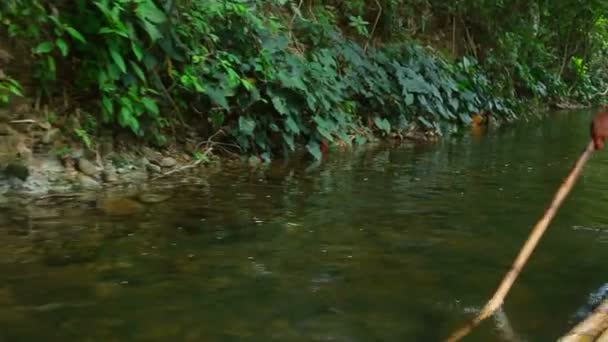 Rafting à Khao Lak — Video