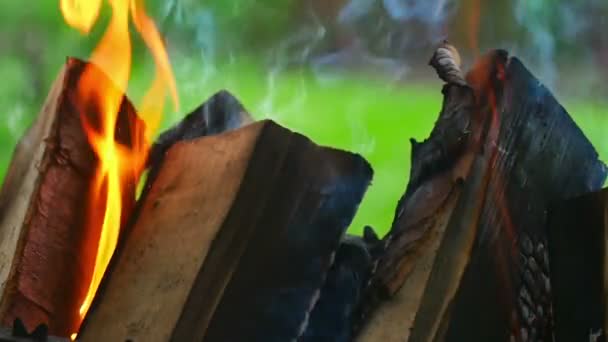 Спалювання деревини, повільний рух — стокове відео