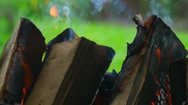 Mangal içinde yanan odun