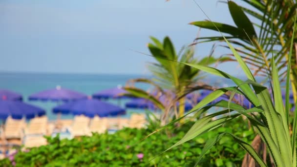 Tropical beach Phuket — Stockvideo
