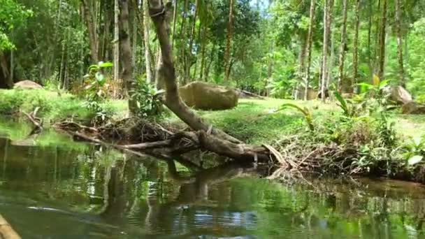 Forsränning i Khao Lak — Stockvideo