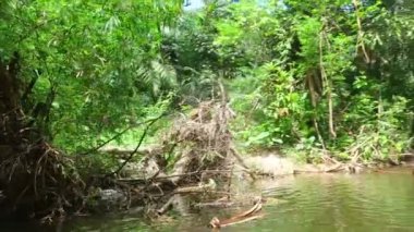 Khao Lak rafting bambu