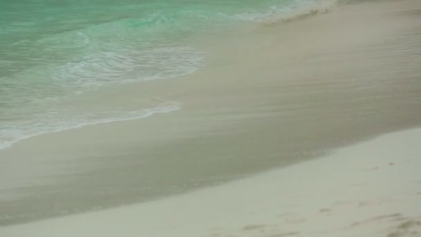 Волны катились по песку пляжа — стоковое видео