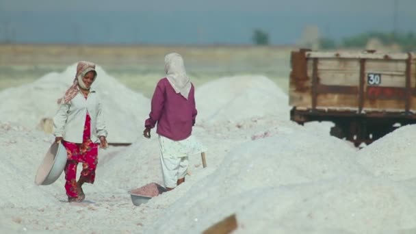 Mineração de sal em Sambhar — Vídeo de Stock