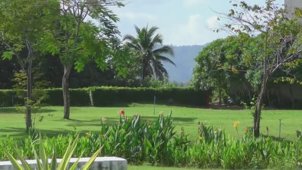 Courtyard Hotel, Phuket — Stock videók