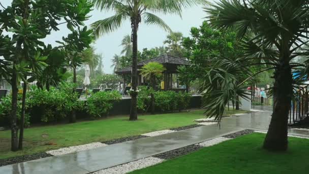 Lluvia tropical, cámara lenta — Vídeo de stock