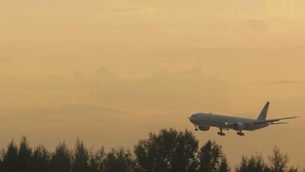 Boeing 777 närmar sig vid solnedgången — Stockvideo