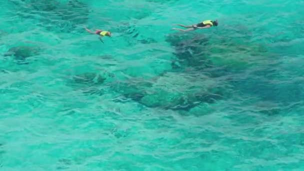Snorkeling near Similans — Stock Video