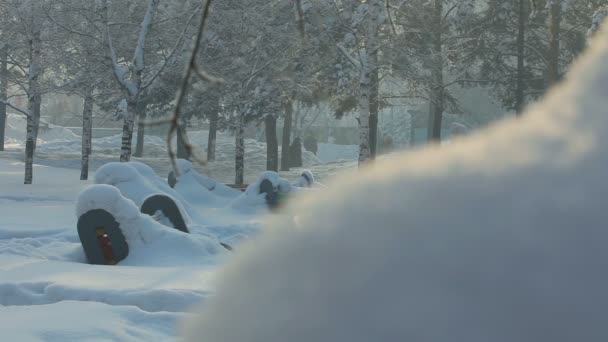 Parque de invierno, Novosibirsk — Vídeo de stock