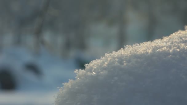 Зимний парк, Новосибирск — стоковое видео