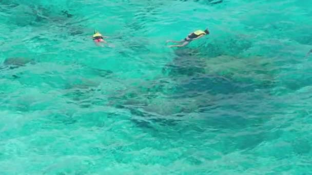 Snorkeling near Similans — Stock Video