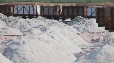 Tuz madenciliği Sambhar içinde