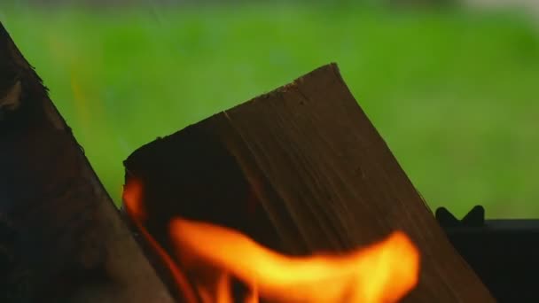 Wood burning, slow motion — Stock Video