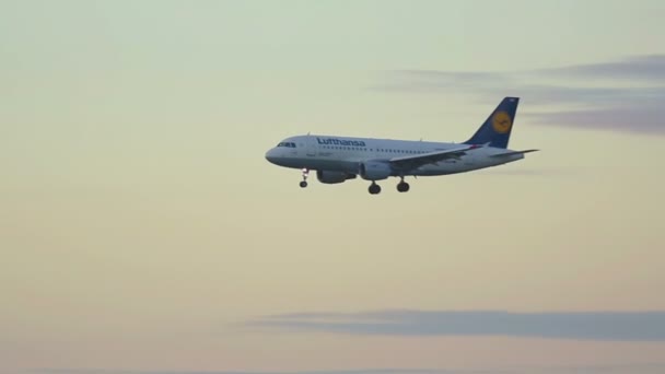 Airbus 319 приближается в сумерках — стоковое видео
