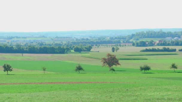 Duitse landschap — Stockvideo