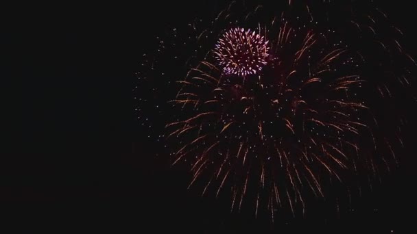 Fuegos artificiales parpadeando en la noche — Vídeo de stock