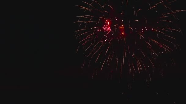 Vuurwerk knippert in de nacht — Stockvideo