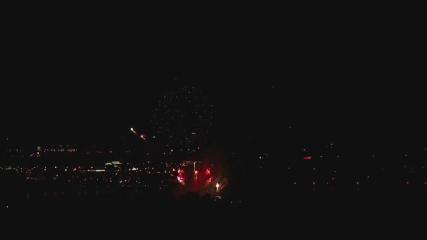 Vuurwerk knippert in de nacht — Stockvideo