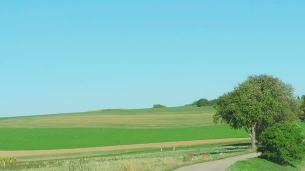 Camino del país en Alemania — Vídeo de stock