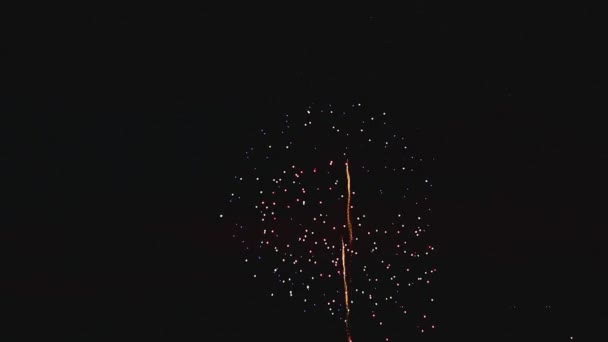 Fuegos artificiales parpadeando en la noche — Vídeos de Stock