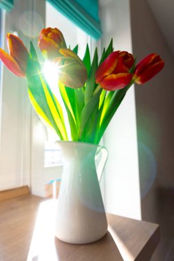 Güneş Işığı 'ndaki Lale Buketi. Hediye Sürprizi