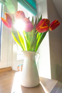 Güneş Işığı 'ndaki Lale Buketi. Hediye Sürprizi