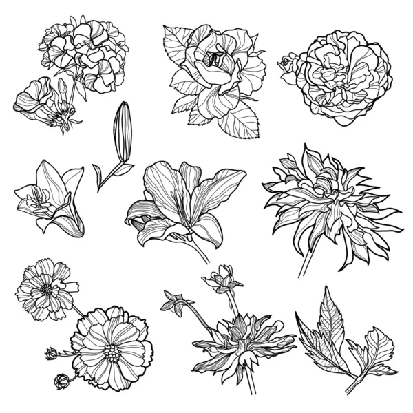 Á Sketch Flowers Stock Pictures Royalty Free Flower Sketch Drawings Download On Depositphotos royalty free flower sketch drawings