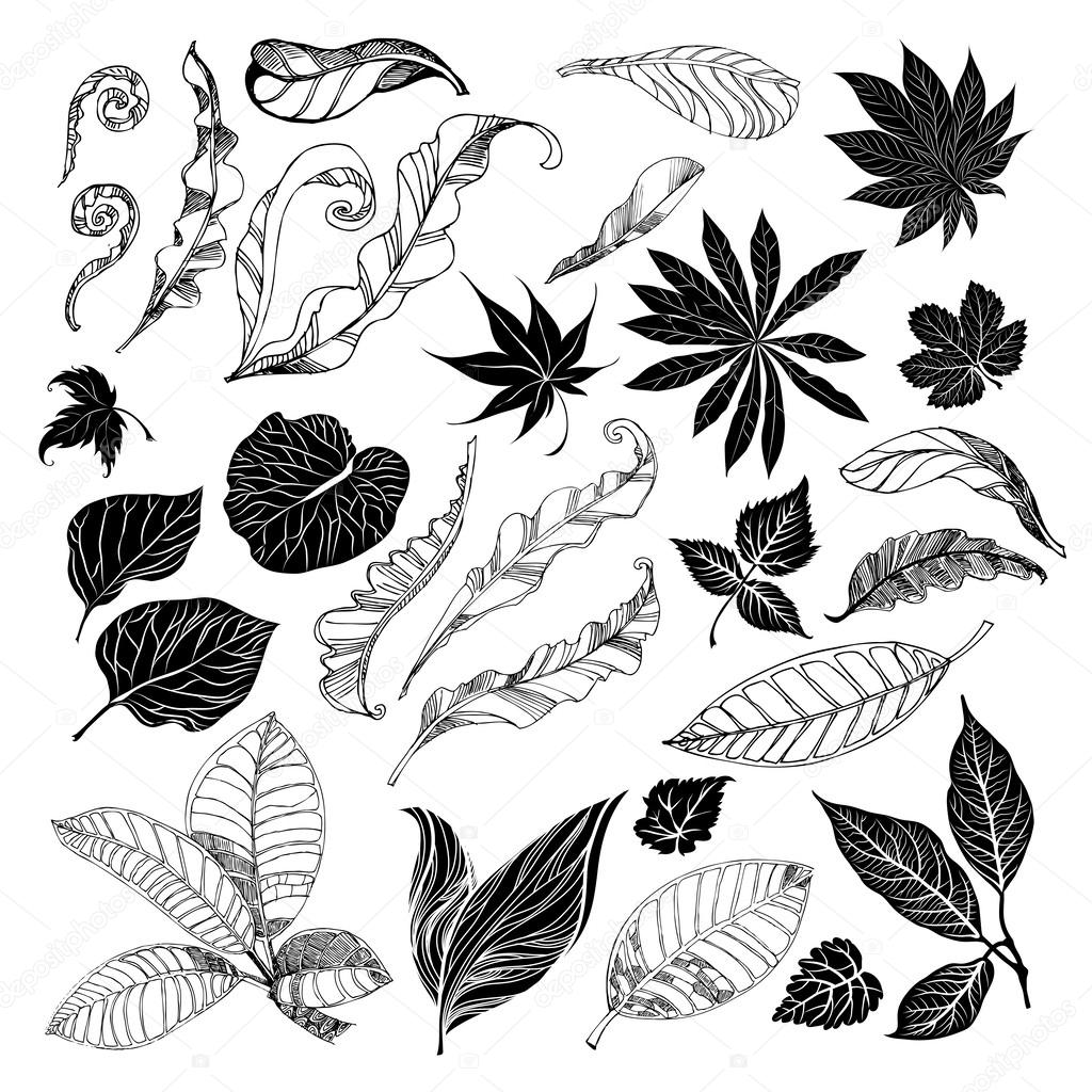 design elements - leafs