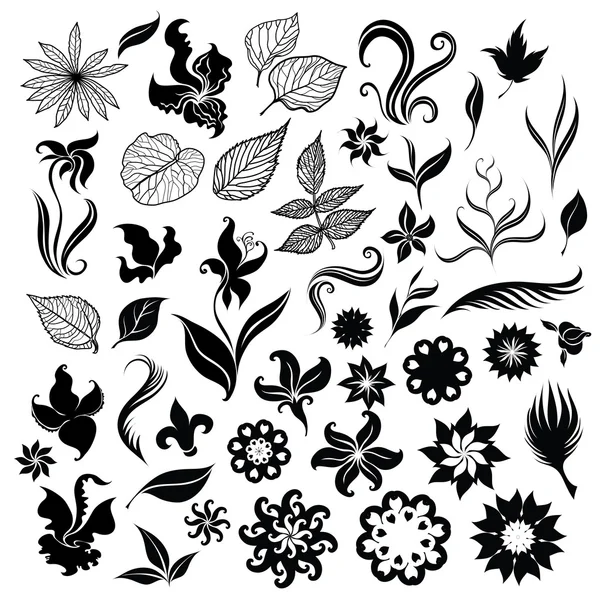 Floral design elements — Stock Photo, Image