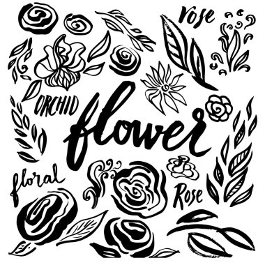 Vektör çiçek tasarım elementleri kümesi