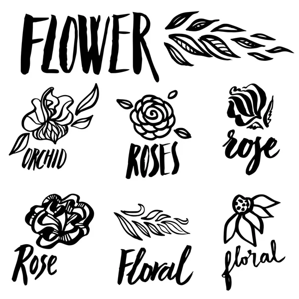 Set of floral design elements — Stock Vector