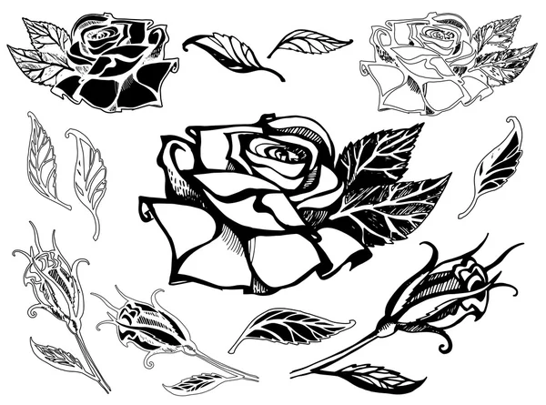 Conjunto de elementos de diseño floral vectorial — Archivo Imágenes Vectoriales