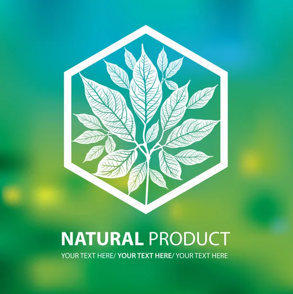 Organic natural logos — Stock Vector