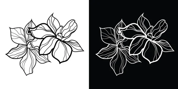 Elementos de diseño floral vectorial — Archivo Imágenes Vectoriales