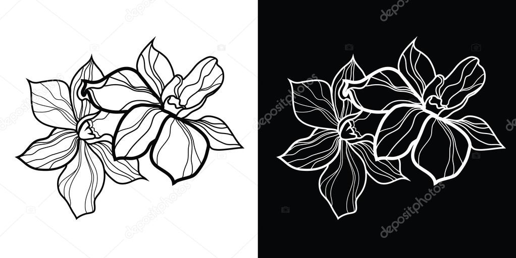 vector floral design elements