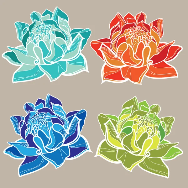 Floral designelementen — Stockvector